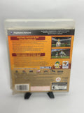 2010 FIFA World Cup South Africa - Playstation 3