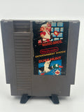 Super Mario Bros and Duck Hunt - NES LOOSE CART