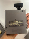 Astyanax - NES LOOSE CART