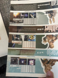 BRADY GAMES Final Fantasy XII Official Strategy Guide for PlayStation 2.