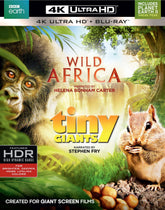 Wild Africa & Tiny Giants 4K Ultra HD Collection (Pre-Owned)