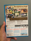 Hyrule Warriors - Wii U