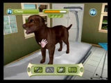 Paws & Claws Pet Vet - Nintendo DS