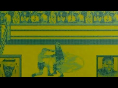 Ring Rage - GameBoy LOOSE CARTRIDGE