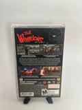 The Warriors - PSP CIB