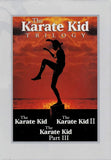 The Karate Kid Trilogy (DVD) – Pre-Owned