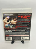 Fight Night Champion - Playstation 3 NO MANUAL