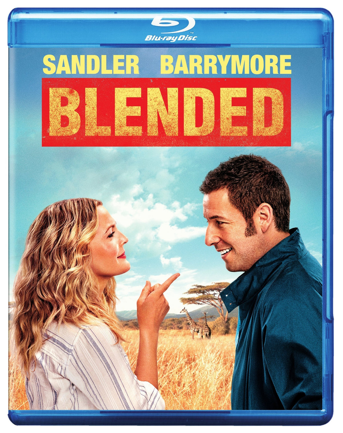 Blended (2014) – Blu-ray, Pre-Owned