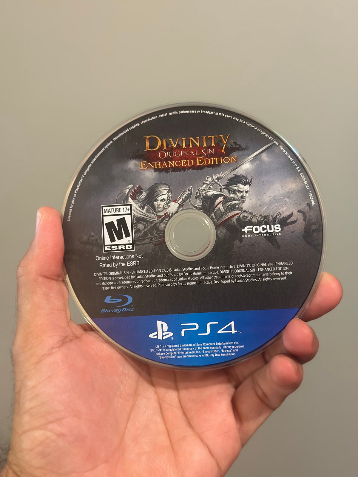Divinity: Original Sin [Enhanced Edition] - Playstation 4