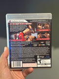 UFC 2009 Undisputed - Playstation 3
