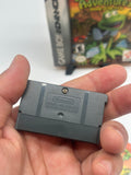 Froggers Adventures Temple of Frog - GameBoy Advance