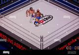 Fire Pro Wrestling - GameBoy Advance