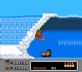 Town & Country Surf Designs: Wood and Water Rage - NES
