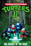 Teenage Mutant Ninja Turtles II: The Secret of the Ooze - DVD (Preowned)