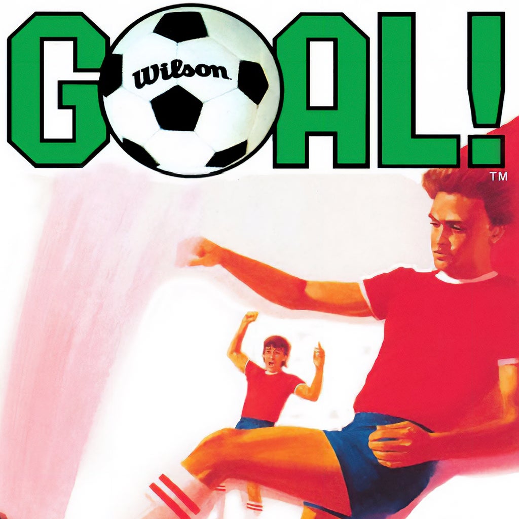Goal - NES Game and BOX