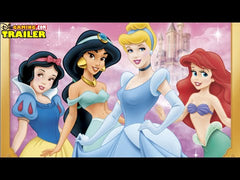 Disney Princess Enchanted Journey - Wii NO MANUAL