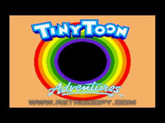 Tiny Toon Adventures: Buster's Hidden Treasure – Sega Genesis (Game & Box Only)