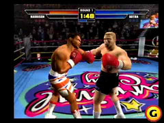 Mike Tyson Boxing - Playstation 2 NO MANUAL