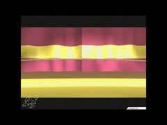 Black and Bruised - Gamecube NO MANUAL