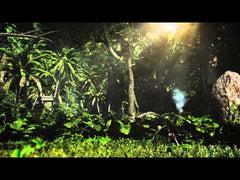 Assassin's Creed IV: Black Flag - Wii U