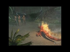 Harry Potter and the Goblet of Fire - Playstation 2