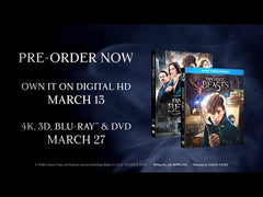 Fantastic Beasts and Where to Find Them (Blu-ray) – Pre-Owned